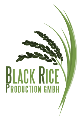Black Rice Production GmbH